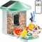 Green AI Smart Bird Feeder with 2K Camera, Solar Panels and 2L Food Container